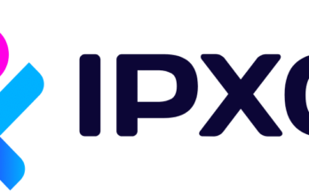 IPv4 Assets With IPXO IP Marketplace