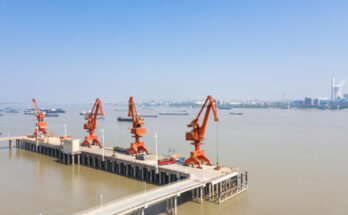Crane Types