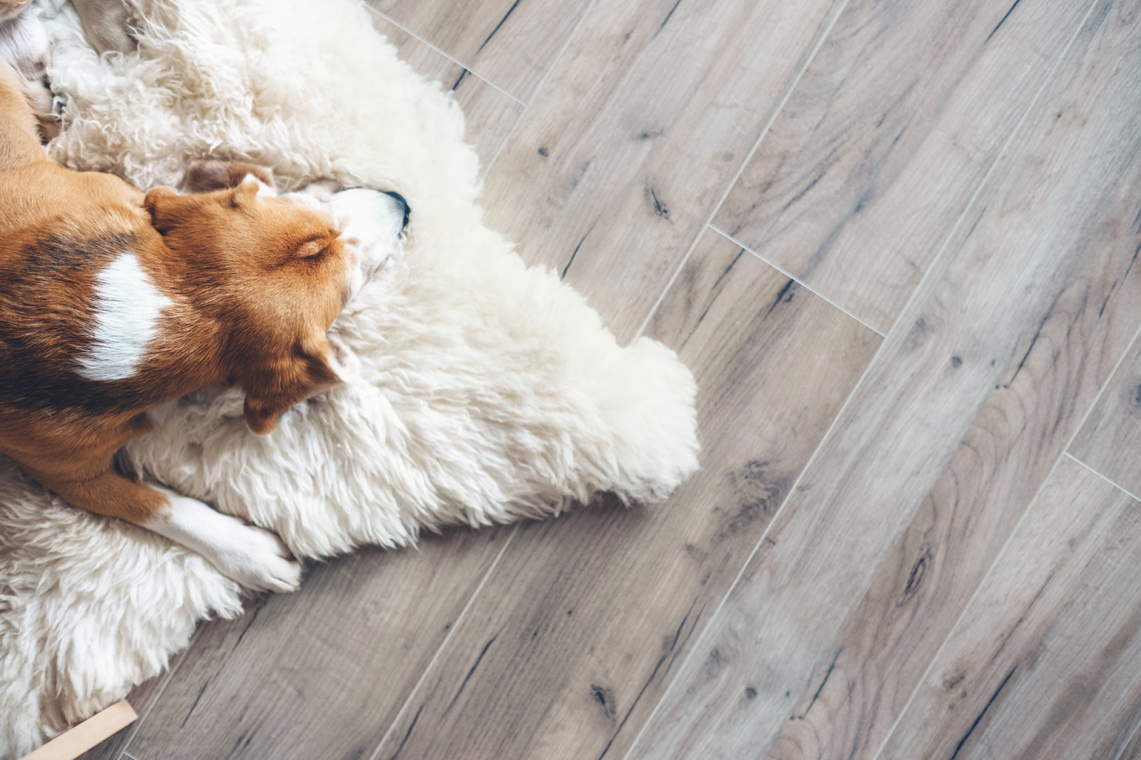 Protect Wood Floors
