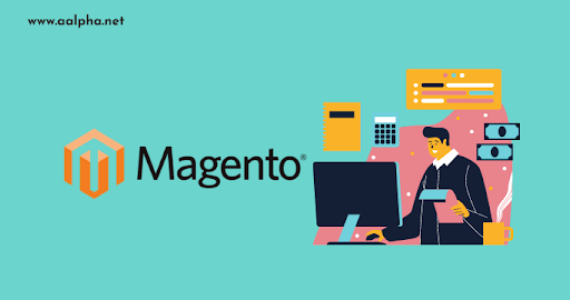 Magento Developers
