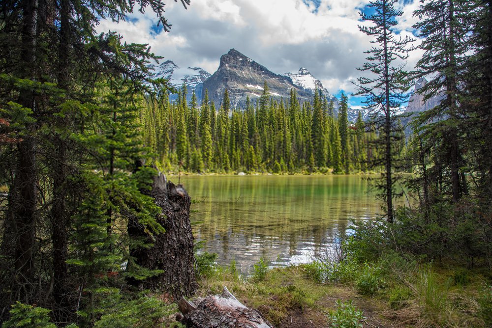 Canada Reinstated Environmental