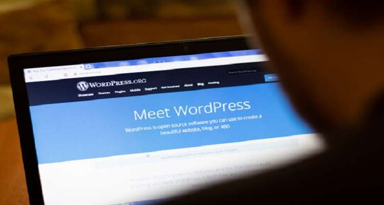 WordPress Website Optimization