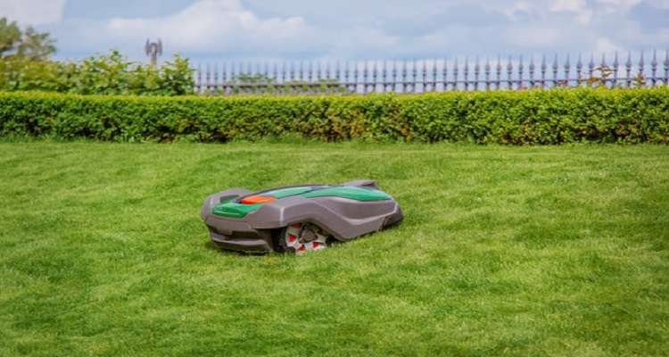 Lawn Care