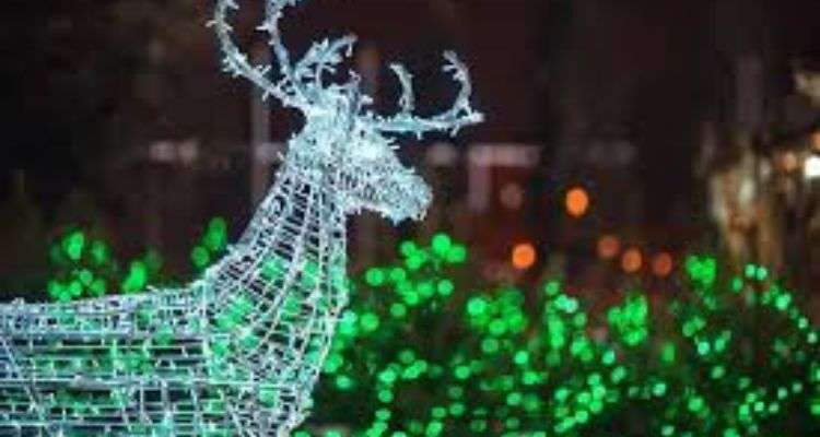 Solar Christmas Lights
