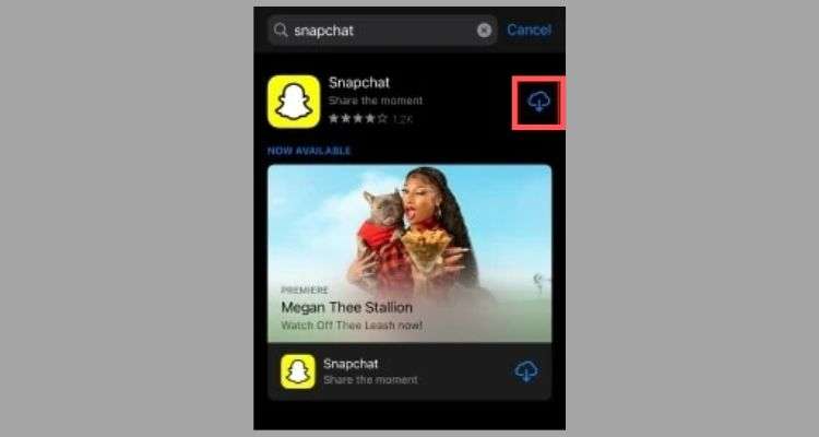 Tap the “Cloud icon” to download and install the Snapchat application on your iPhone.
