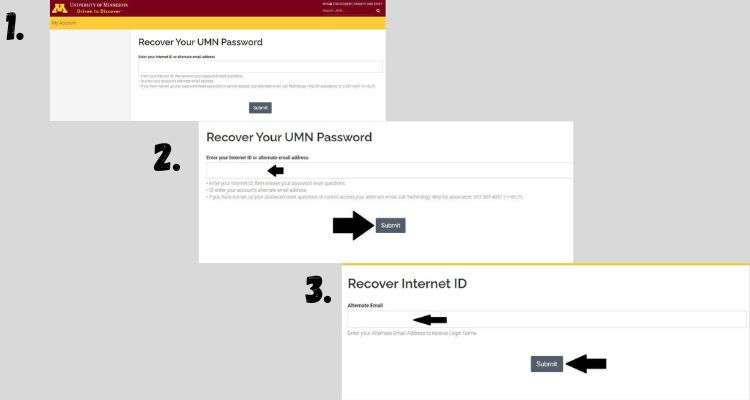 Recover UMN Canvas ID Password